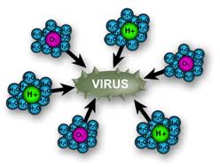 plasmacluster vs virus